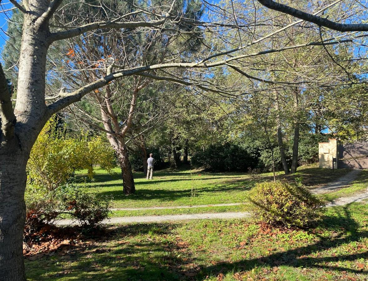 Borie Grande Villa Saint-Denis  Exteriör bild