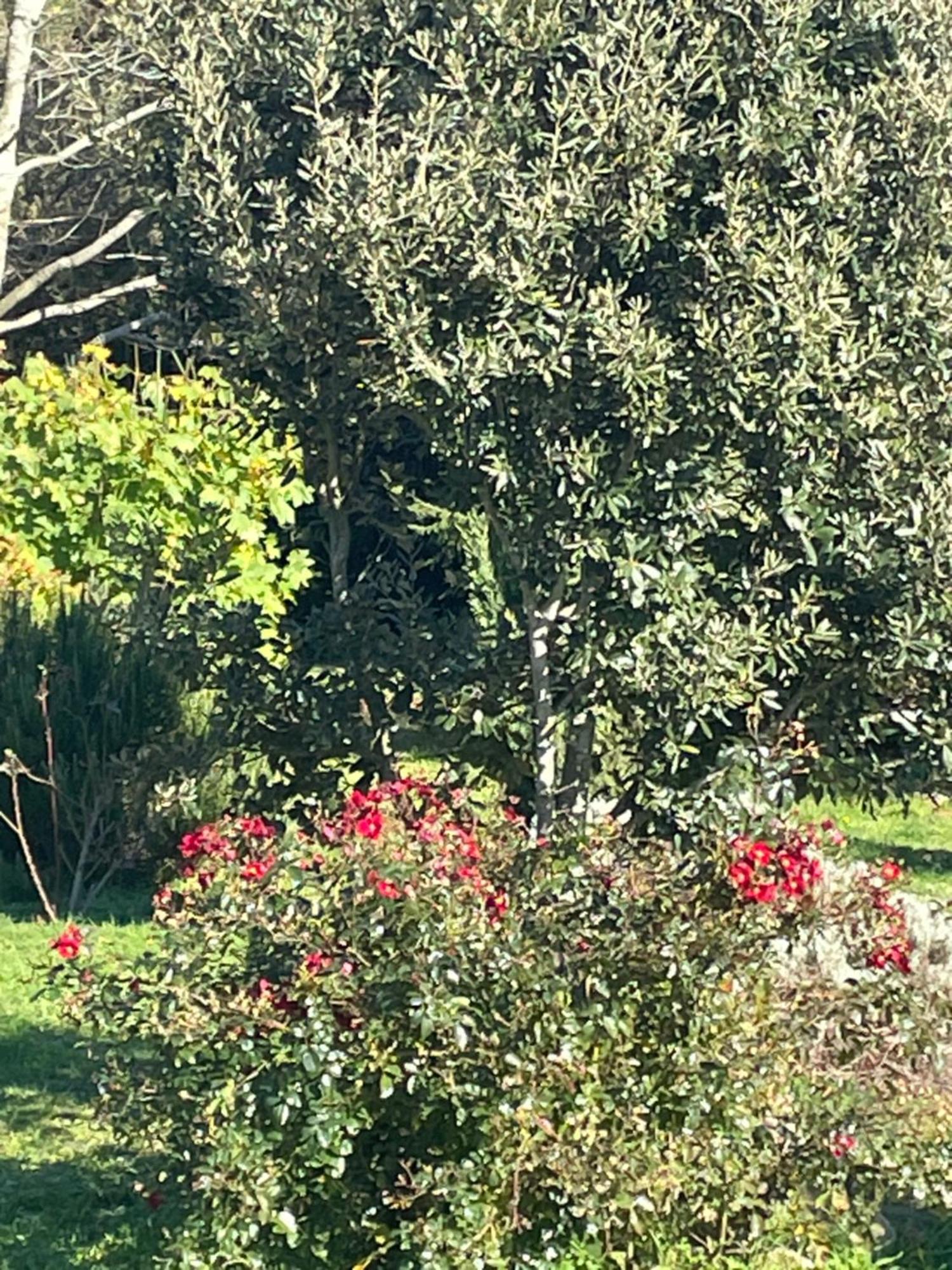 Borie Grande Villa Saint-Denis  Exteriör bild